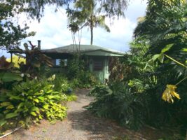 Logo for Entabeni Cottage Logo for Entabeni Cottage