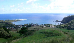 Photo of Hana Community Endowment Fund Photo of Hana Community Endowment Fund