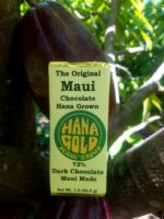 Photo of Hana Gold Photo of Hana Gold