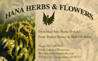 Logo for Hana Herbs & Flowers Logo for Hana Herbs & Flowers
