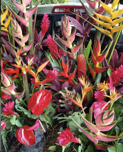 Photo of Hana Tropicals Photo of Hana Tropicals