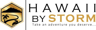 Logo for Hawaii by Storm Tours LLC Logo for Hawaii by Storm Tours LLC