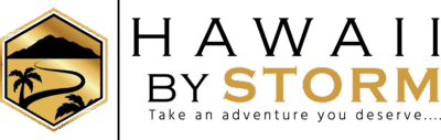 Logo for Hawaii by Storm Tours LLC Logo for Hawaii by Storm Tours LLC