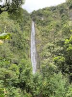 Logo for Kīpahulu District – Haleakalā National Park Logo for Kīpahulu District – Haleakalā National Park