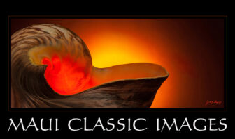Logo for Maui Classic Images Logo for Maui Classic Images