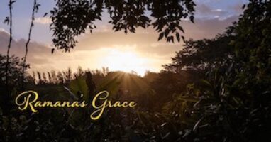 Logo for Ramana’s Grace Logo for Ramana’s Grace