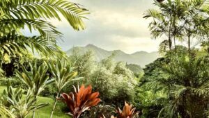 Photo of Sacred Essentials by Hana Nui Farm Photo of Sacred Essentials by Hana Nui Farm