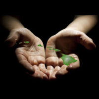 Logo for Serve Aloha LLC Logo for Serve Aloha LLC