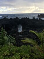 Logo for Waiʻānapanapa State Park Reservations Logo for Waiʻānapanapa State Park Reservations