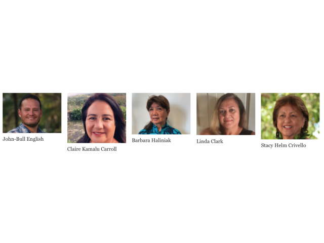 Five Democrats Vie For Hawaii House Seat Vacancy