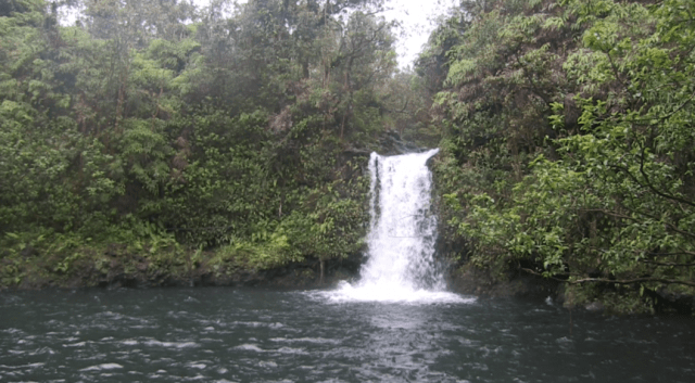 Court Limits A&B East Maui Stream Diversion