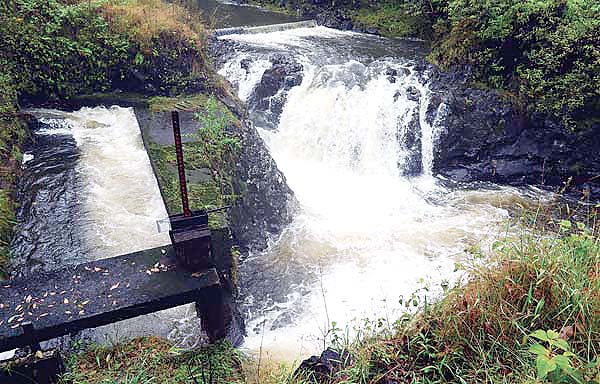 State Supreme Court rules in favor of taro farmers