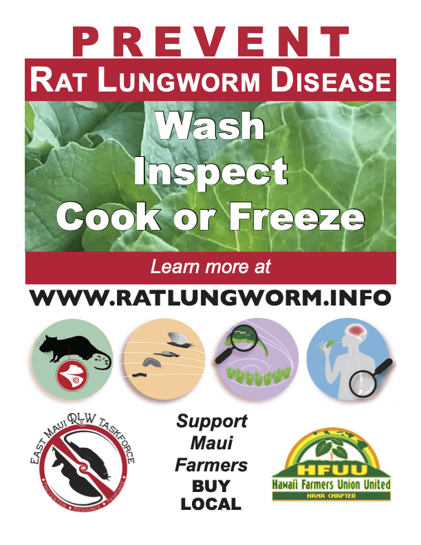 ‘Tis the Season… to Prevent Rat Lungworm Disease