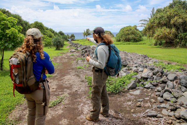 In Haleakala National Park, Crews Look To The Past To Understand The Present