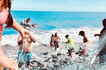 Maui groups get $550K in grants for marine stewardship training