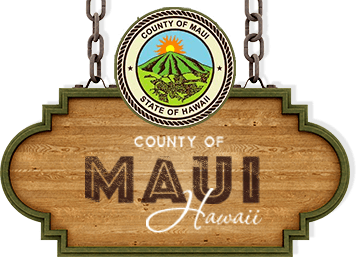 Maui County residents advised to prepare as Tropical Storm Hone approaches