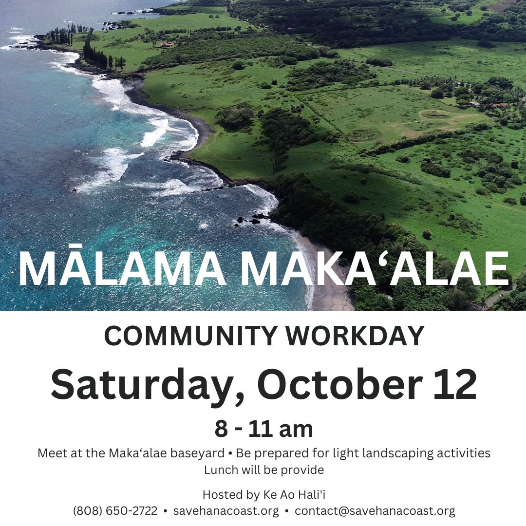 Malama Makaʻalae 2024-1012