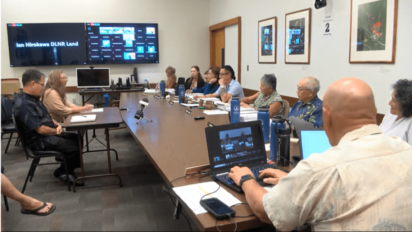 Board rejects land director’s proposal for Maui water license