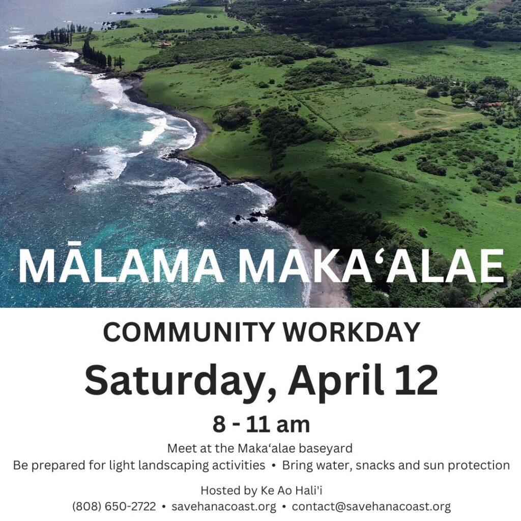Malama Makaalae 2025-0412